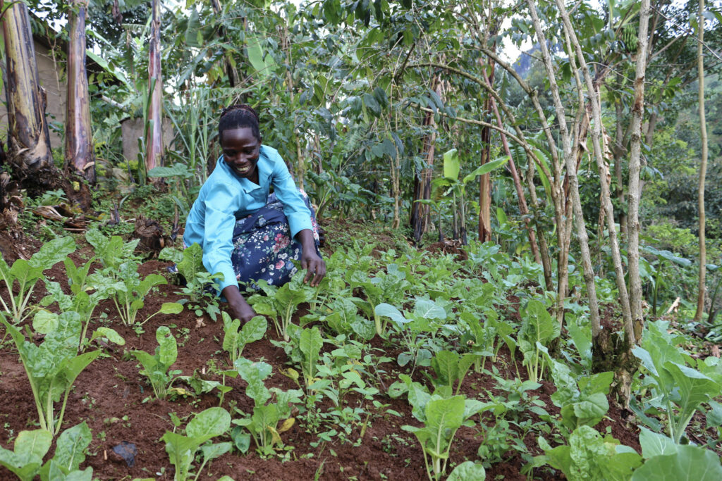 Khainza Kasifa at one of her kitchen gardens.