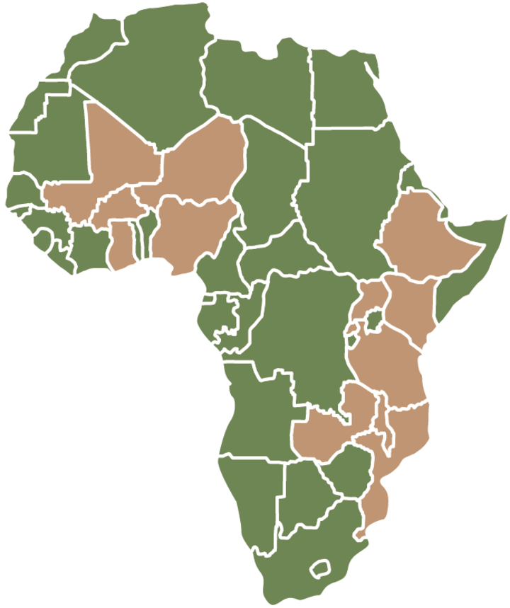A map of Africa with highlighted countries.