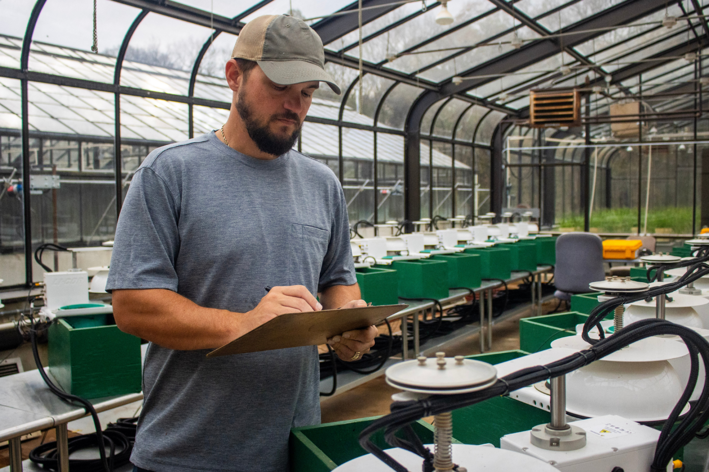 Research photo in greenhouse