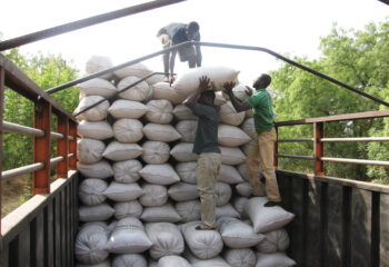 Fertilizer sacks being loaded onto a transport vehicle for delivery.