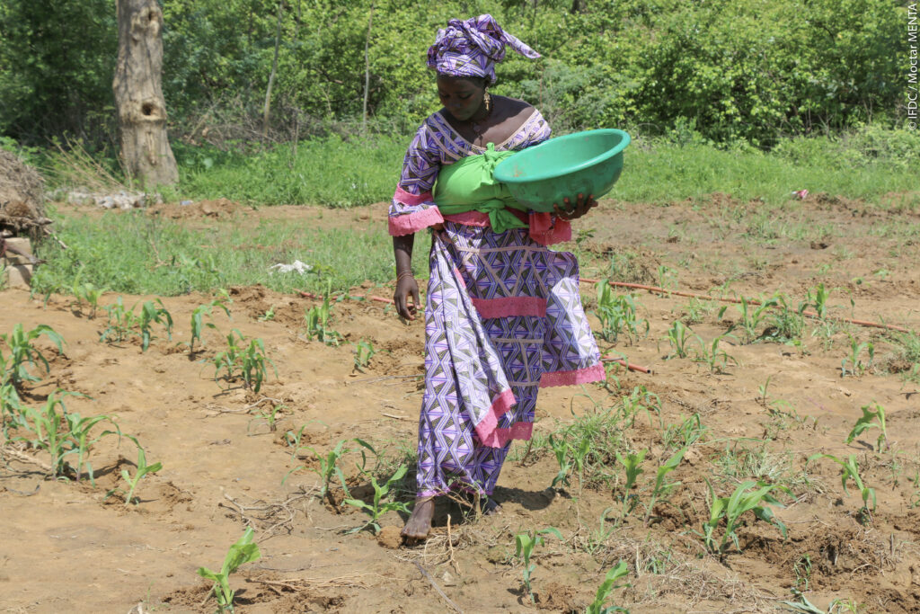A woman observes her field to begin applying fertilizers through microdosing.