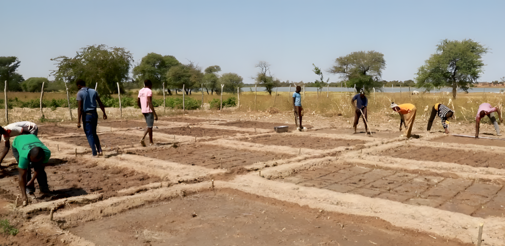 Field trials in Bagassi are evaluating the impact of Barbary Plante on tomato production across 16 plots with varying treatment levels.