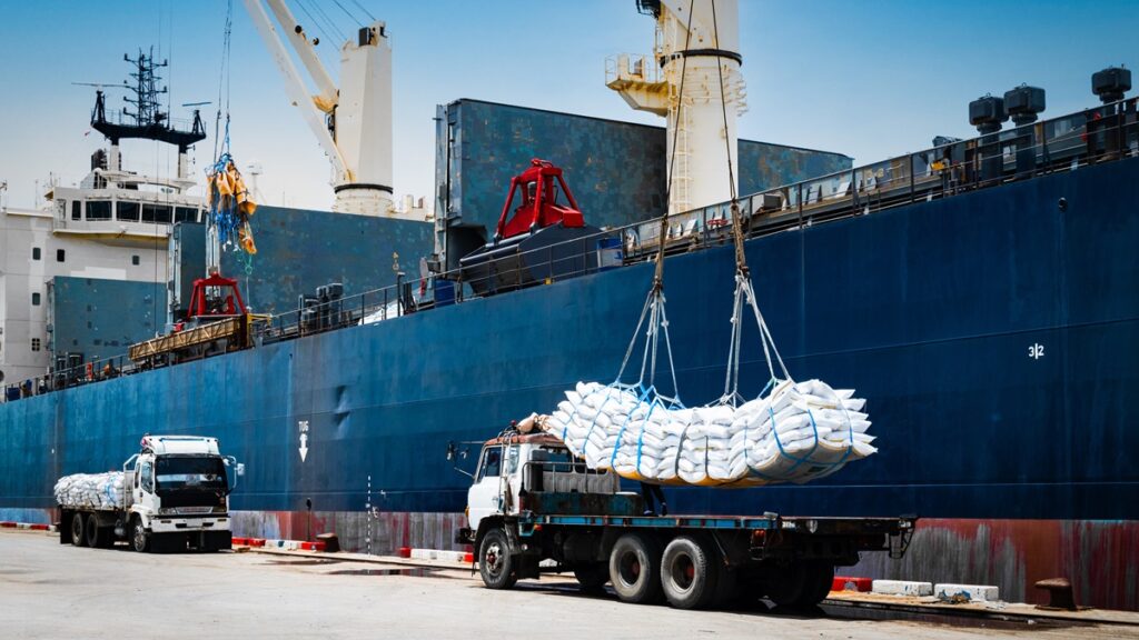 A ship-crane lifting cargo at a port. Photo: Shutterstock/Mr. Kosal