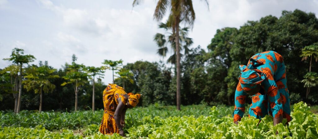 Two women in a West African farming village. Photo: Shutterstock
