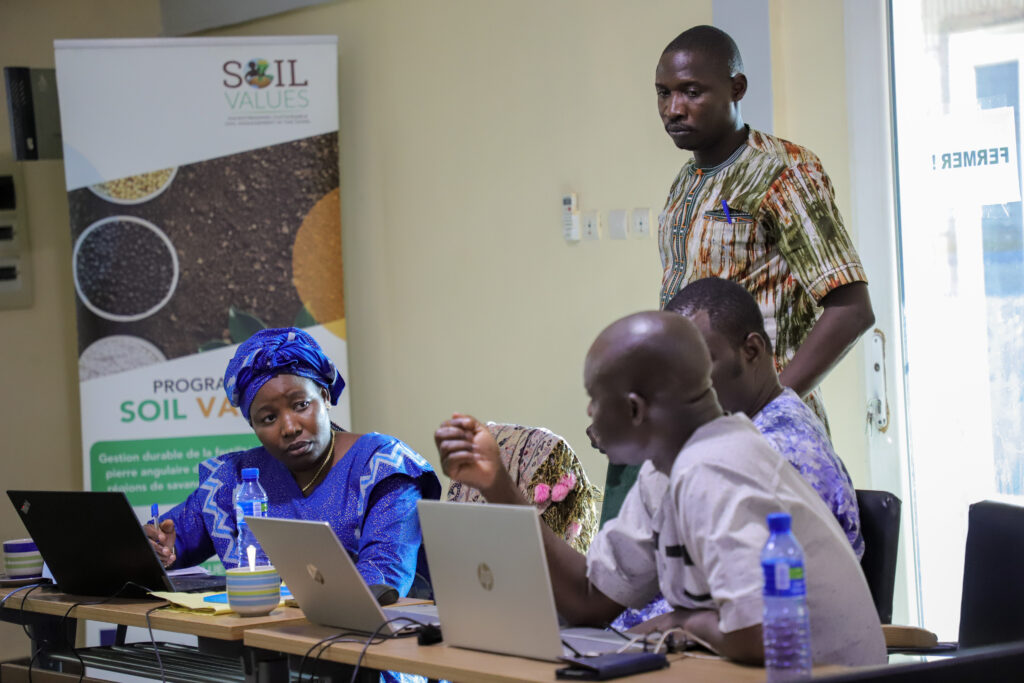 A group of participants in a working session during the action plan development workshop in Koudougou.