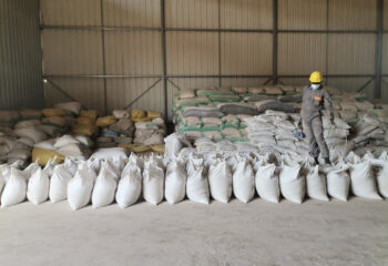 A staff worker stands by a group of aligned fertilizer bags in a warehouse.