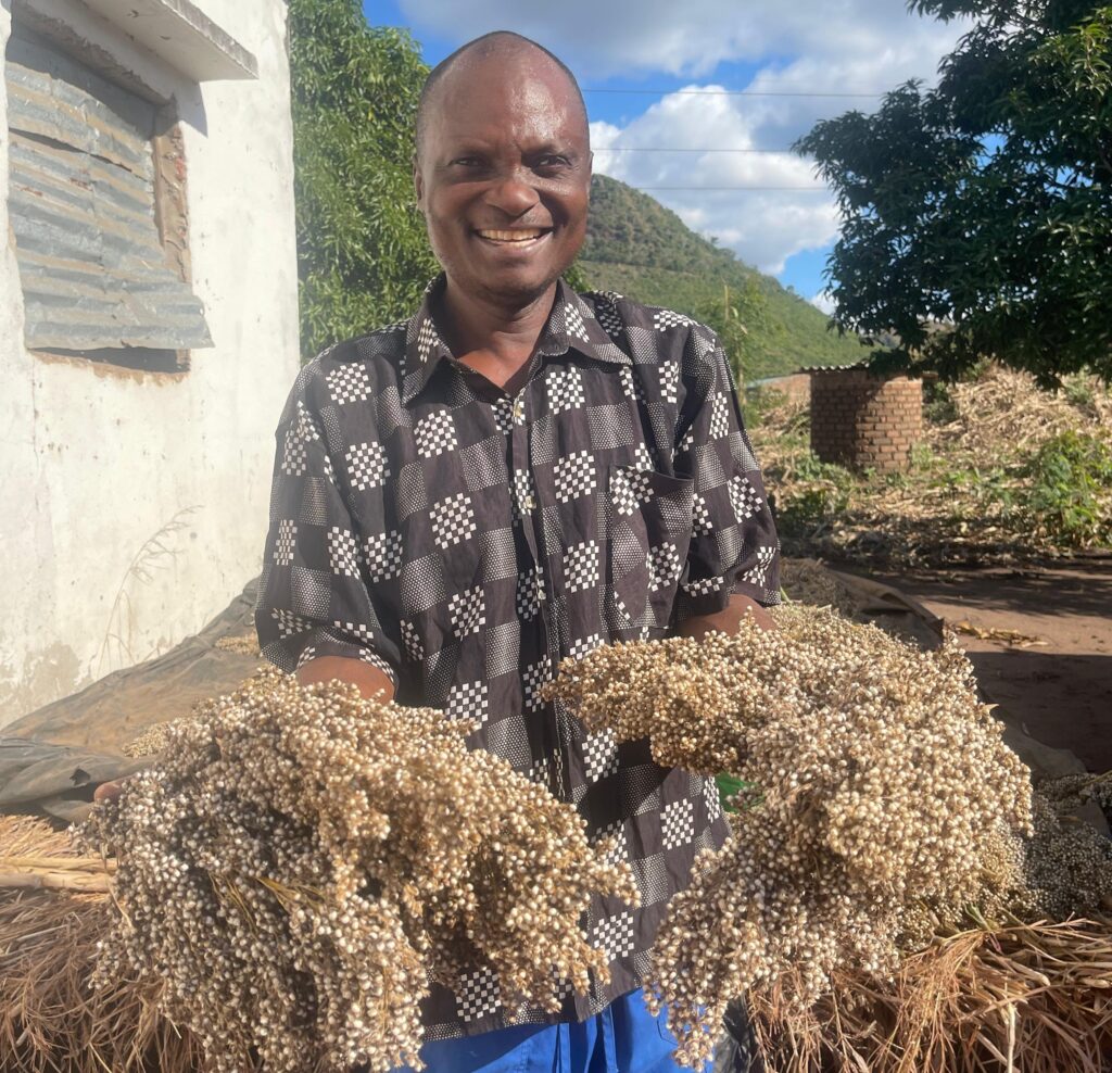 Tomé Armando André displays his sorghum harvest from an improved variety introduced through the 3R program.