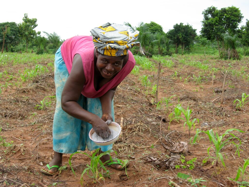 A woman from Togo applies fertilizer to her field.